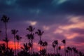 Silhouettes of palm trees on the fion of a beautiful multi-colored sunset. Royalty Free Stock Photo