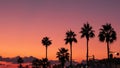 Silhouettes of palm trees at orange and violet sunset sky background, copy space. Tropical resort, summer travel concept Royalty Free Stock Photo