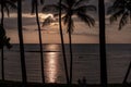 Silhouettes of palm trees at a sunset over Pacific ocean, Big Island, Hawaii. Royalty Free Stock Photo