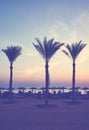 Silhouettes of palm trees at a tropical beach at sunset, color toning applied Royalty Free Stock Photo