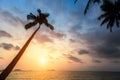 Silhouettes of palm trees on the tropical sea beach at sunset. Nature. Royalty Free Stock Photo