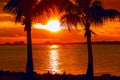 Silhouettes of palms on the beach against the backdrop of the setting sun. Royalty Free Stock Photo