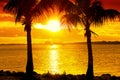 Silhouettes of palms on the beach against the backdrop of the setting sun. Royalty Free Stock Photo