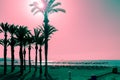 Silhouettes of palms on the beach at sunset. Tropical evening landscape. Fantastic pink turquoise color. Royalty Free Stock Photo