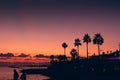 Silhouettes of palms at orange and violet sunset sky background on tropical resort embankment, copy space for text Royalty Free Stock Photo