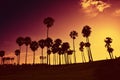 Sunset at Venice Beach, California, USA. Royalty Free Stock Photo