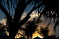 Silhouettes of palms during tropical sunset on paradise island Bali, Indonesia. Royalty Free Stock Photo