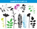 Silhouettes of parts of plants, leaves, flowers, vector illustration Royalty Free Stock Photo