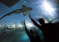 Silhouettes of the people in an aquarium showing on a shark