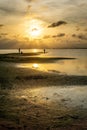 Silhouettes of unrecognizable people on the beach at sunset with the calm sea Royalty Free Stock Photo