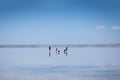 Silhouettes of people and dogs walking along the famous tourist salt lake Tuz