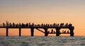 Silhouettes of the people fishing, sunset over sea on a pier Royalty Free Stock Photo