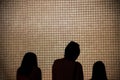 Silhouettes of people in front of a projector screen in a museum in Boston, Massachusetts