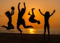 Silhouettes of a people having fun on a beach Royalty Free Stock Photo