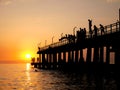 Silhouettes of people jumping into the sea Royalty Free Stock Photo