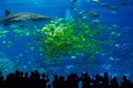 Silhouettes of people looking at fish in huge blue Aquarium, Fish tank with shark and tropical shoals of fish at Chimelong Ocean