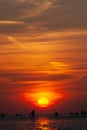 Silhouettes of people on the mudflap beach against the sunset sky. Royalty Free Stock Photo