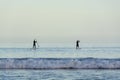 Silhouettes of people on paddle surf boards in Antlantic ocean on Tenerife island at sunset