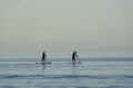 Silhouettes of people on paddle surf boards in Antlantic ocean on Tenerife island at sunset