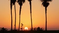 Silhouettes of people and palm trees on beach at sunset, California coast, USA. Royalty Free Stock Photo