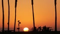 Silhouettes of people and palm trees on beach at sunset, California coast, USA. Royalty Free Stock Photo