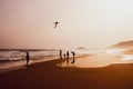 Silhouettes of people playing and flying a kite in sandy Golden Beach, Karpasia, Cyprus