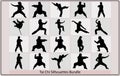 silhouettes of people practicing Tai Chi,Martial Art Kung Fu Tai Chi Self Defense Exercise Fight Master People Man Royalty Free Stock Photo