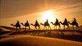 Silhouette of People Riding Camels in Desert With a Sunset View