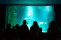 Silhouettes of people and shark of fantasy underwater in oceanarium