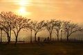 Silhouettes of people, trees and street lamps on the park path