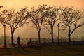 Silhouettes of people, trees and street lamps on the park path