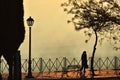 Silhouettes of people, trees and street lamps on the park path