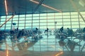 Silhouettes of people waiting for the flight at the airport Royalty Free Stock Photo