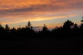 Silhouettes of pine trees in Arcadia National Park at sunset, Maine