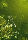 Silhouettes of plants, vector Royalty Free Stock Photo