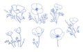 silhouettes of poppies flowers. Eschscholzia plant - vector design elements