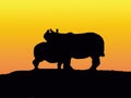 Silhouettes of rhinos Royalty Free Stock Photo