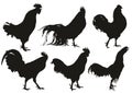 Silhouettes of roosters.