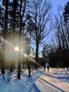 Silhouettes of runners on a snowy path in the woods