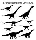 Silhouettes of sauropodomorpha dinosaurs. Set. Side view. Monochrome vector illustration of black silhouettes of Royalty Free Stock Photo