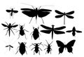 Silhouettes Set of Beetles, Dragonflies and Butterflies Royalty Free Stock Photo