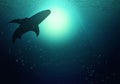 The silhouettes of shark swim at the level of the ocean. The dark deep ocean illuminates the sun