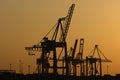 Cranes of shipyard in evening light. Royalty Free Stock Photo