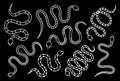 Silhouettes of snakes. Tropical toxic reptiles illustration. Dark snakes elements for tattoo design. Exotic rattlesnakes