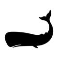 Silhouettes of sperm whale.,cachalot isolated black and white vector illustration