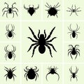 Silhouettes of spider