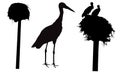 Silhouettes of stork bird, nest, set. Vector illustration Royalty Free Stock Photo