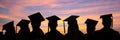 Silhouettes of students with graduate caps in a row on sunset background. Graduation ceremony web banner Royalty Free Stock Photo