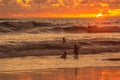 Silhouettes of a surfers at the beach.