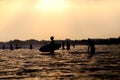 Silhouettes of surfers in the ocean at sunset